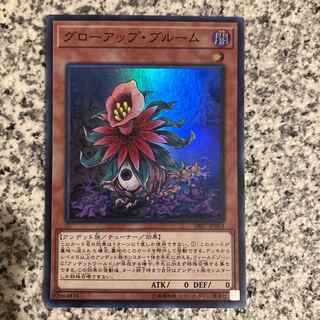 Glow-Up Bloom Super Rare JP003