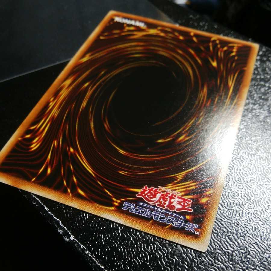 確認用 ビッグシールドガードナー 裏面