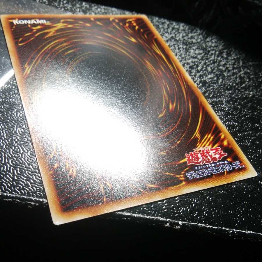 確認用 ビッグシールドガードナー 裏面