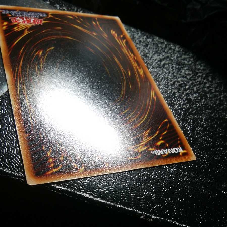 確認用 ビッグシールドガードナー 裏面