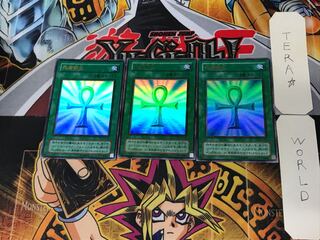 はるしゅ 様 専用 1枚