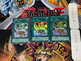 Card of Safe Return 2nd period ver 6 Ultra 3-card set Tera