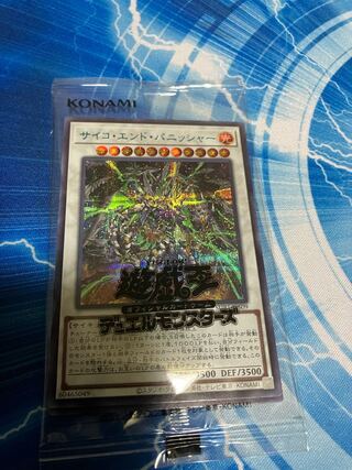 Psycho End Punisher , Access Code Talker