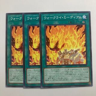 War Cry Medium $3664