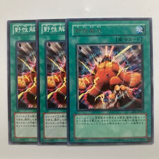 8745 Wild Nature's Release $3668