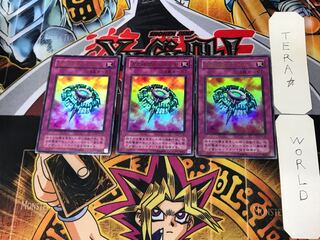 Widespread Ruin 2nd period ver 6 Ultra, set of 3 Tera.