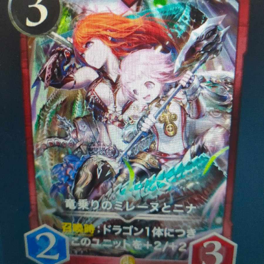 2枚組 竜乗りのミレーヌとニナ