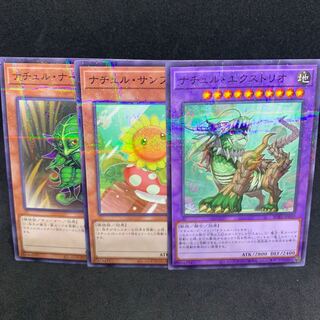 【特価】SUB1 ナチュル・ナーブ、ナチュルサンフラワー、ナチュル・エクストリオ パラレル ノーマル JP059 1枚