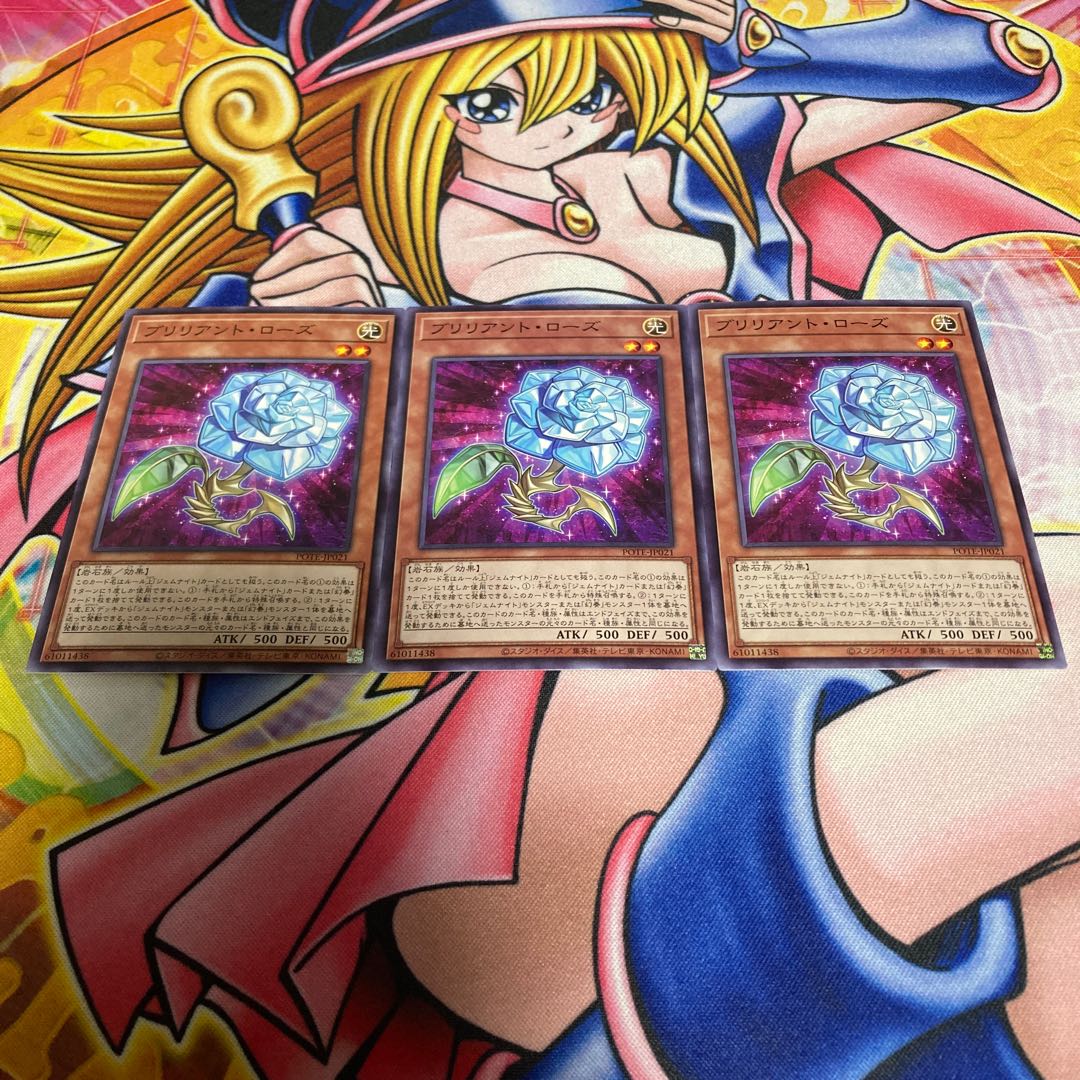 Brilliant Rose Normal JP021