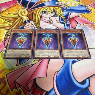 聖種の影芽 ノーマル JP029