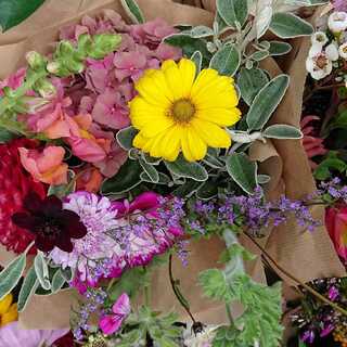 バトバト様専用