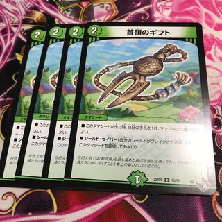 Gift of the Chief C 73/74 22RP