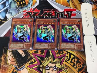 Valkyrion the Magna Warrior 2nd period ver 8 Ultra 3-card set Terra