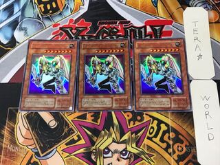 Valkyrion the Magna Warrior 2nd period ver 9 Ultra 3-card set Terra