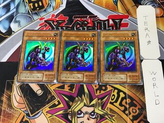 Panther Warrior 2nd period ver 3 Ultra Set of 3 Tera