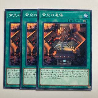 紫炎の道場　$3731