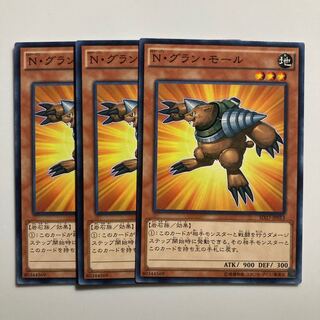 8778 N・グラン・モール ノーマル JP013