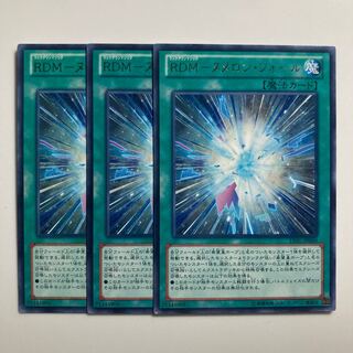 8780 RDM-ヌメロン・フォール レア JP060