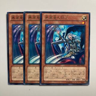 8786 Rider of the Storm Winds $3771