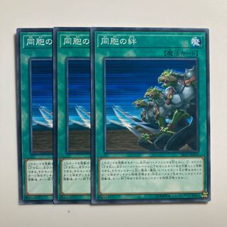 Ties of the Brethren $3772