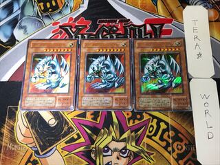 Blue-Eyes Toon Dragon 2nd period ver 4 Ultra Parallel 3-card set Tera