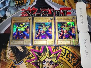 Axe Raider 2nd period ver 10 Ultra Parallel 3-card set Tera