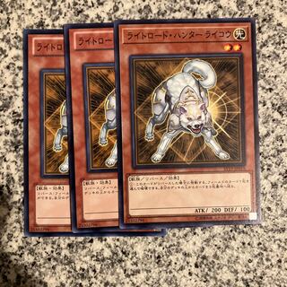 Ryko, Lightsworn Hunter Normal JP007