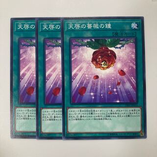 天啓の薔薇の鐘 $3797