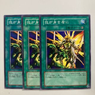 我が身を盾に　$3819