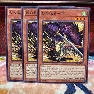 No.1569 P屋　獣の忍者-獏 【ノー】