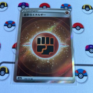 基本闘エネルギー SR 256/172