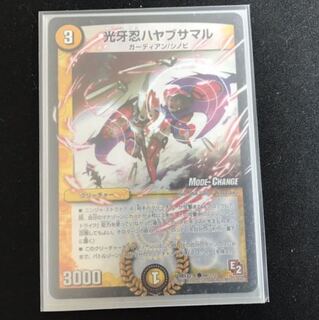 ハヤブサマルMC