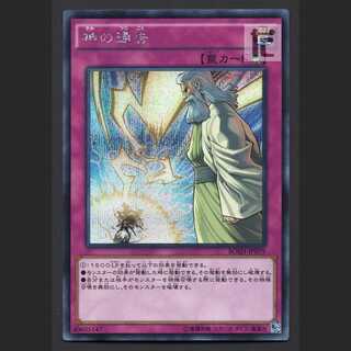 Solemn Strike [Near] Secret/Managed by MY0685