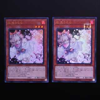 Ash Blossom & Joyous Spring Ultra, set of 2 /Managed by MY0697