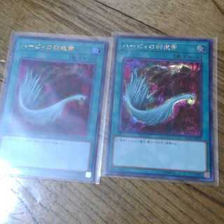 ハーピィの羽根箒　シクあり