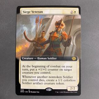 Siege Veteran English Extended Frame