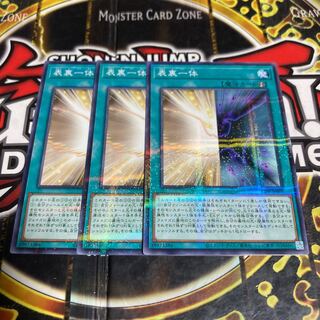 Two sides of the same coin Light in the shade No para.