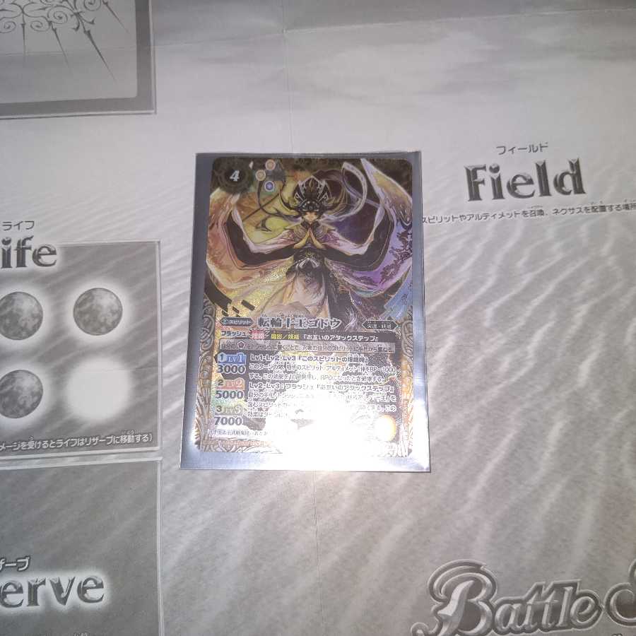 ideal universal ruler (in Indian religions)