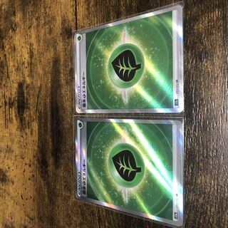 Pokémon card, basic grass Energy sr, set of 2