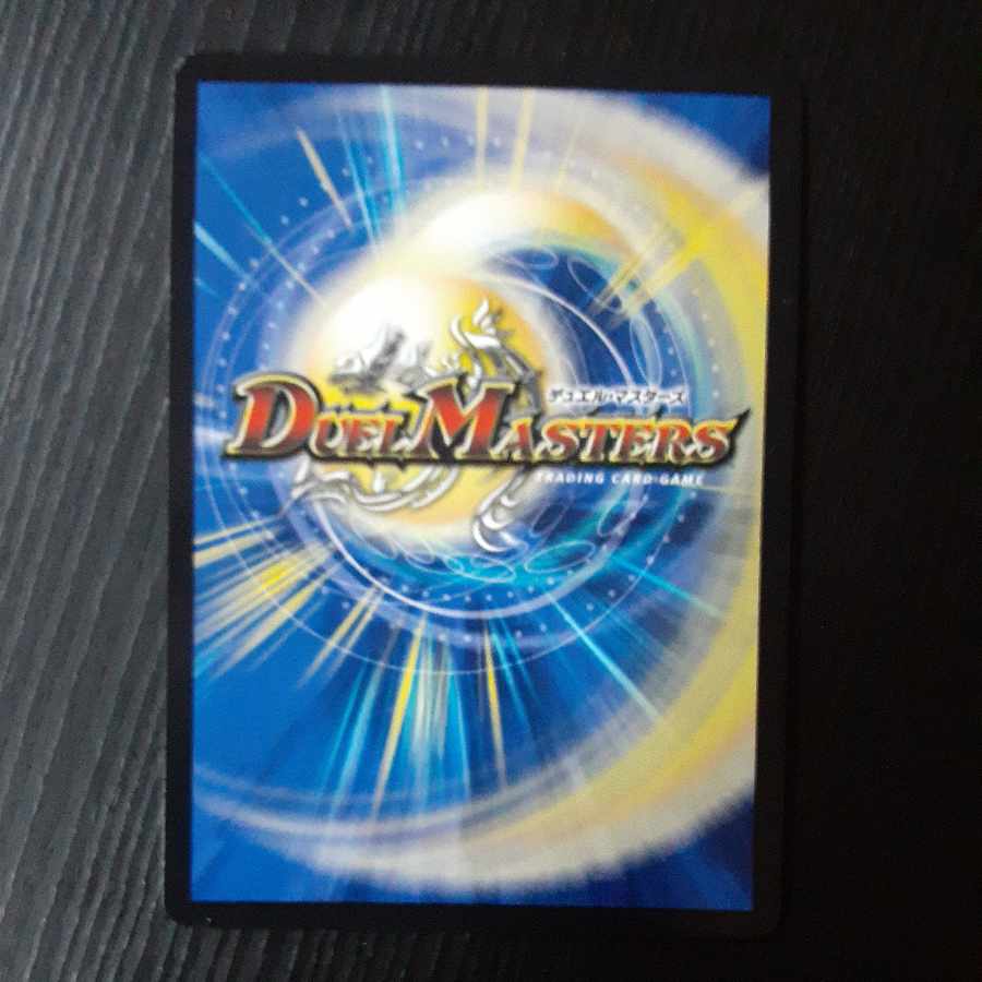 Proten! Ginga MAX R-foil 22/110