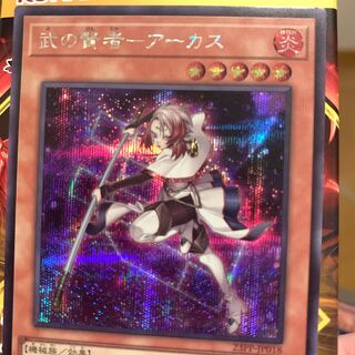 Arcus, the Wise One of the Warrior Secret Rare