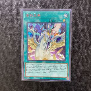 金科玉条 レッドシークレット JP004 赤シク