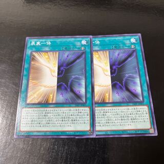 Front and Back Normal, set of 2