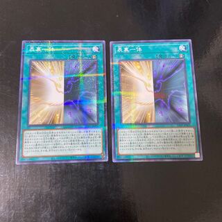 Front and Back Parallel Normal No Para JP005 Set of 2