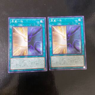 Front and Back Normal JP005 Set of 2