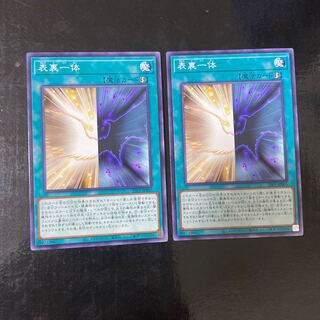 表裏一体　ノーマル　JP005 2枚セット