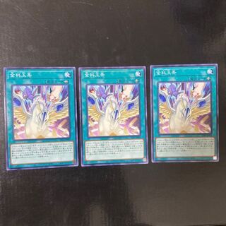 Kinkajinjyo Normal JP004 3-card set