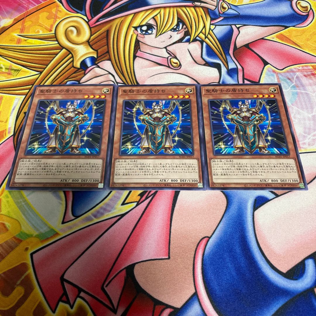 Noble Knight's Shield-Bearer Normal JP017