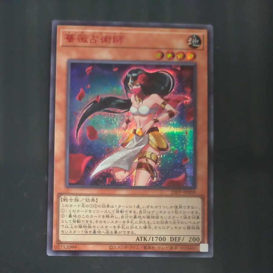 Rose Diviner Secret Rare JP009 [Mokurindo].