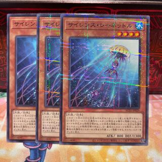 No.1613 P屋 Silent Sea Nettle